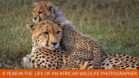 A Year In The Life Of An African Wildlife Photographer