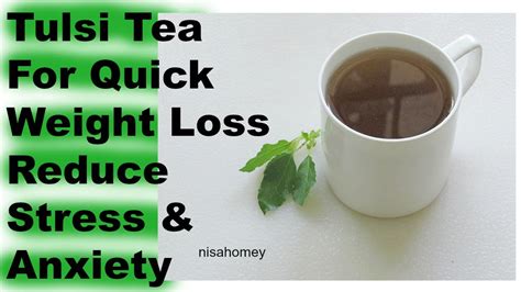 Tulsi Tea For Quick Weight Loss Holy Basil Teadrink To Reduce Stress