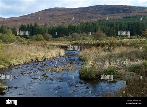 Galloway Forest Park Scotland Stock Photo Alamy