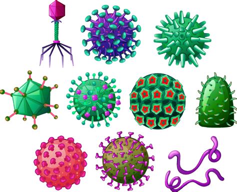 Different Shapes Of Viruses 7297576 Vector Art At Vecteezy