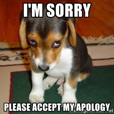 Please accept my sincere apologies for my impertinence. I'm sorry Please accept my apology - sorry dog | Meme ...