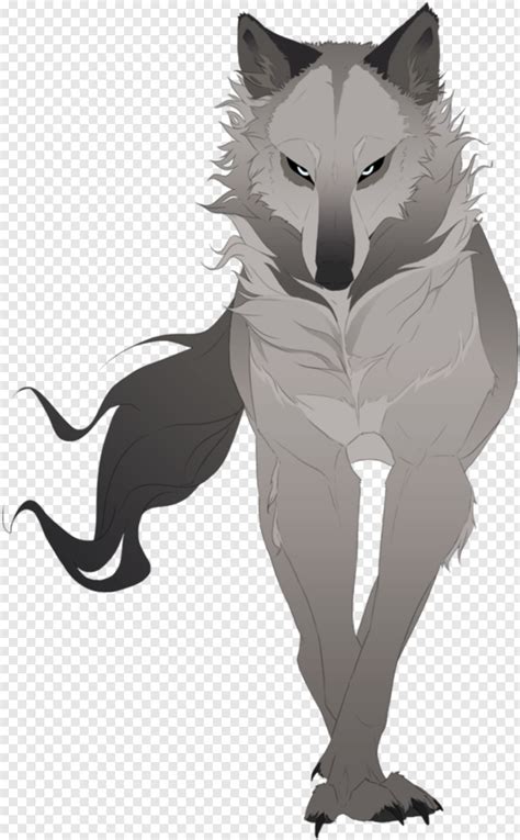 Anime Wolf Drawn Anime Wolves Png Download 570x921 5759902 Png