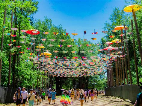 Electric Forest Announces Ticket Information For 2023 Edition Edm