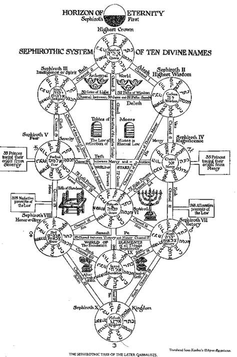 The Tree According To Athanasius Kircher Tree Of Life