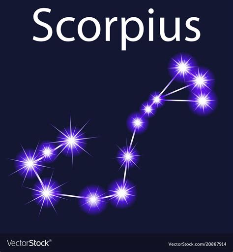 Constellation Scorpius With Stars In The Night Sky Vector Image On