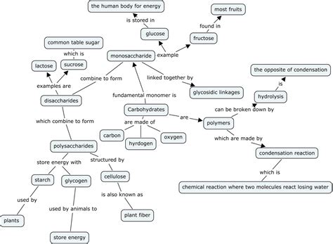 Carbohydrates Concept Map
