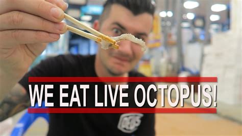 EATING LIVE OCTOPUS SOUTH KOREA BEST CUPCAKES HONGDAE VLOG YouTube