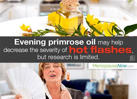 Read all about taking evening primrose oil for hot flashes as well as other herbal medicines scientifically proven to help with menopause symptoms here. Can Evening Primrose Oil Relieve Hot Flashes?