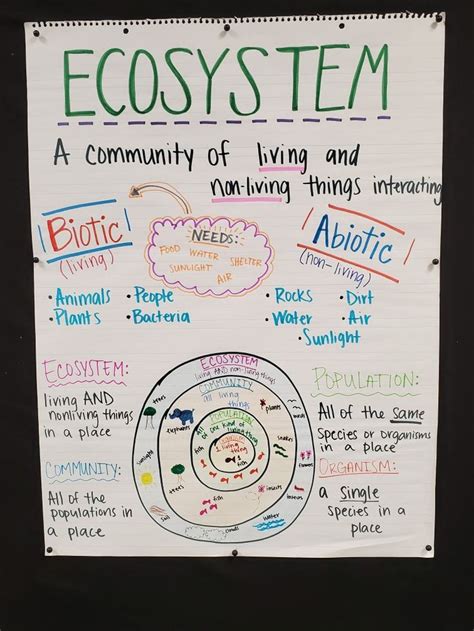Ecosystem Anchor Chart Teaching Science Science Lessons Science