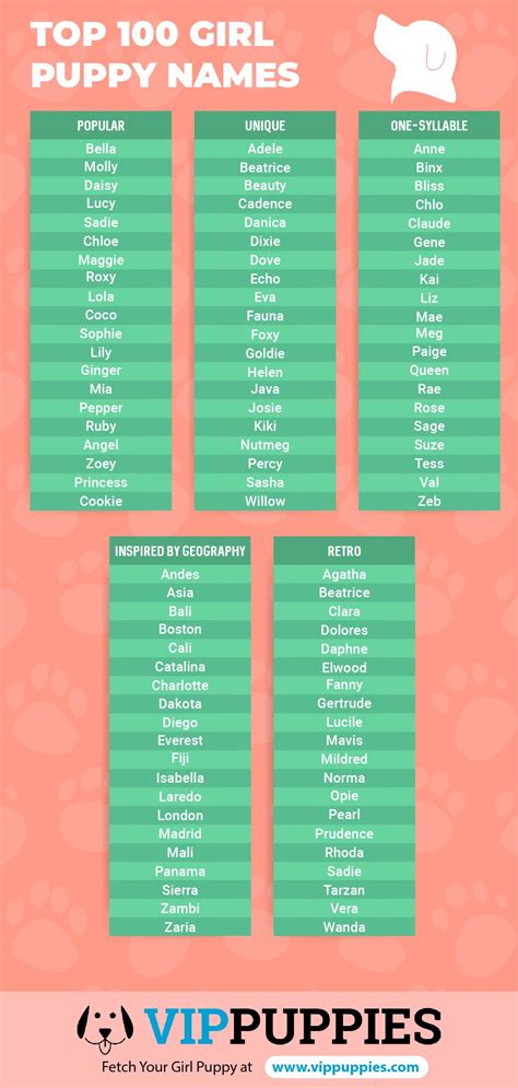 Girl Puppy Names 1000 Dog Names For Girls Vip Puppies Female Dog