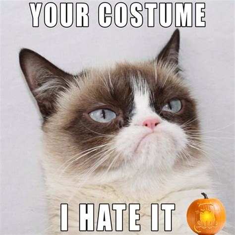 Grumpy Cat Loves Halloween Lol Grumpy Cat Costume Grumpy Cat Meme