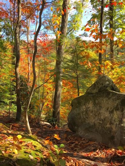 Fall Colors Autumn Rock By Peggy Markham Photo Stock Studionow