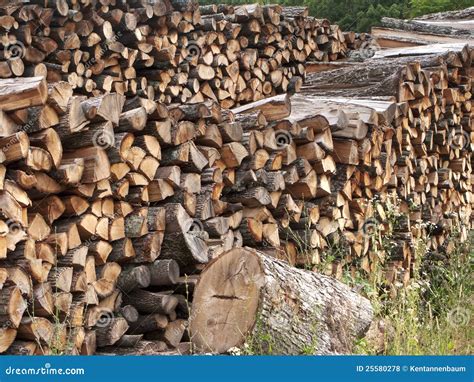 Stacked Firewood Stock Photo Image Of Outdoors Energy 25580278