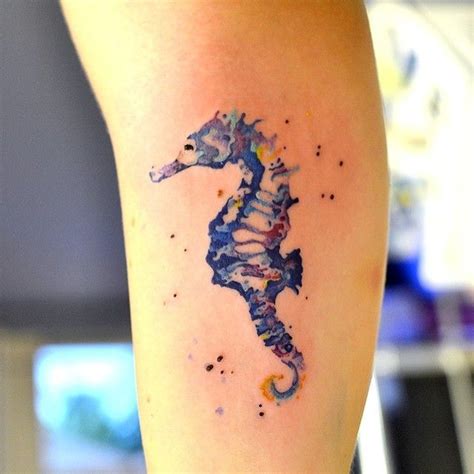 Tattoo Seahorse Tattoo Elements Tattoo Tattoos