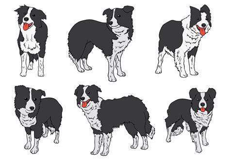 Download Free Border Collie Icons Vector For Free Border Collie Art