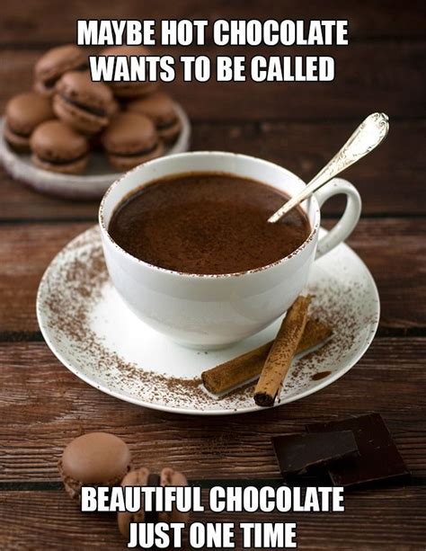 30 Very Funny Chocolate Memes Chocolate Chocolate Humor Homemade