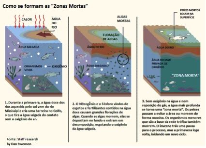 Os estados mexicanos que fazem o golfo do méxico apresenta uma superfície de aproximadamente 1.550.000 km² e o seu subsolo é rico em petróleo. Zonas mortas dos oceanos.