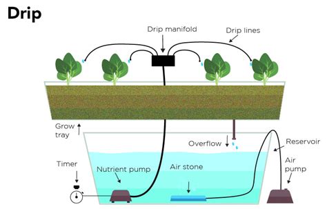 The 6 Basic Hydroponic Systems Which One To Use Atlas Scientific