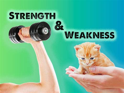 Please do the little exercise and reveal your own personal strengths and weaknesses. List Of Strength & Weaknesses For Job Interviews | Monster.com