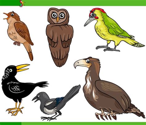 Ilustración De Conjunto De Dibujos Animados De Aves Vector Premium