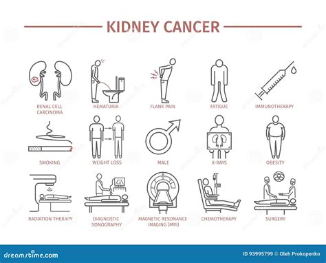 Kidney Cancer Symptoms Stock Vector Illustration Of Medicine 93995799