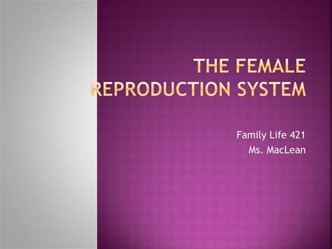 Ppt The Female Reproduction System Powerpoint Presentation Free