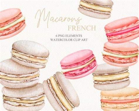 Watercolor French Macarons Clipart Pastel Sweet Dessert Etsy Uk