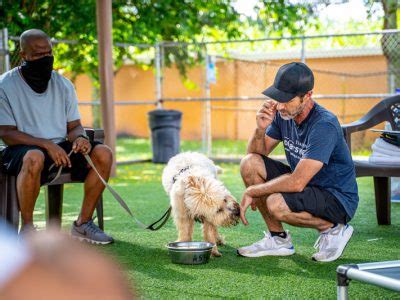 We fulfill this promise at our 16,000 sq. Training Rates - Country Inn Pet Resort & Animal Hospital