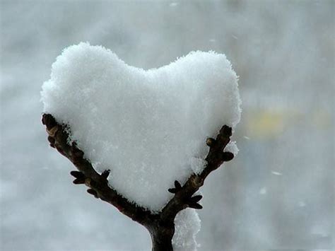Nature Love Wallpaper Heart In Nature Winter Beauty Heart Art