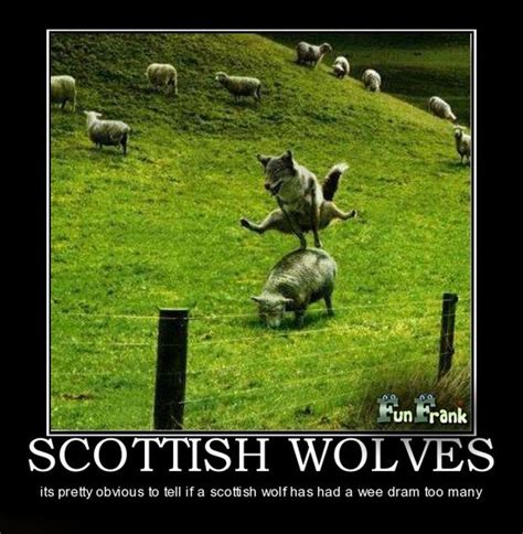 Scottish Wolves Versus Scottish Humour Scotland The Brave Pinterest