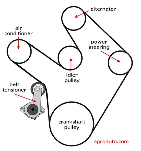 Diagram Serpentine Belt