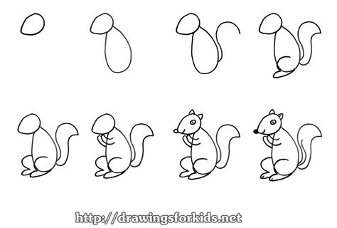 How To Draw A Squirrel For Kids