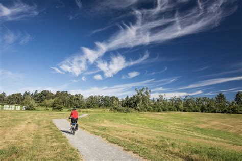 6 Things To Do At Aldergrove Regional Park Inside Vancouver