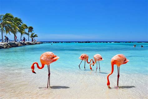 14 Top Rated Tourist Attractions In Aruba Planetware