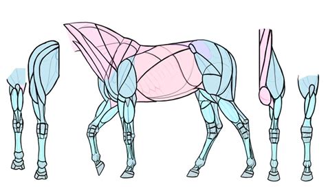 Sketchbook Original How To Draw Horses Monika Zagrobelna
