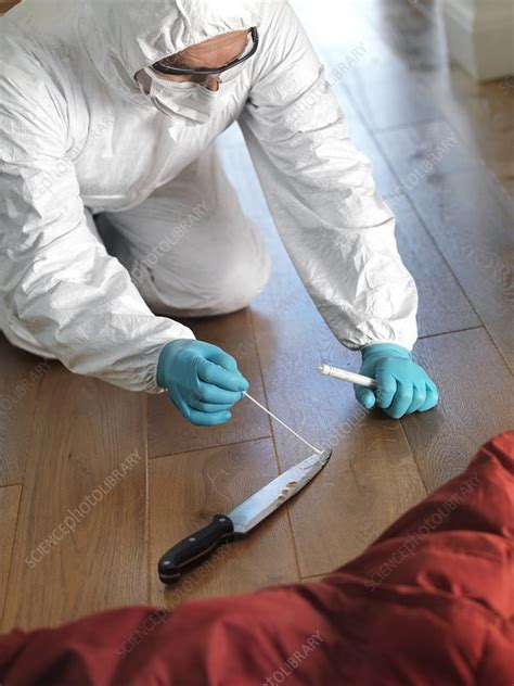 Collecting Forensic Evidence Stock Image F0056161 Science Photo