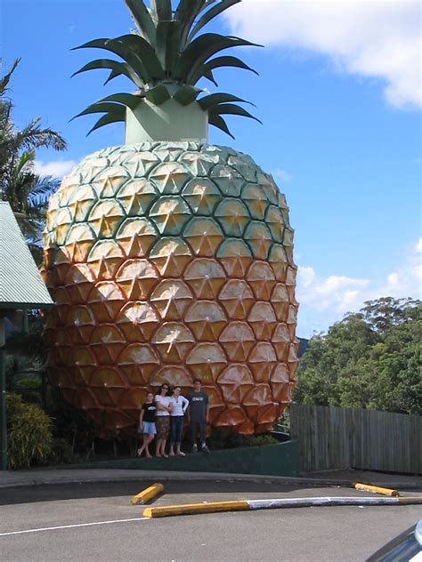 In our business, this is an important word as most properties are defined in some fraction or multiple of an acre. Pineapple building in south Africa, part of a grower's ...