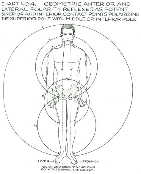 polarity therapy charts 1 6 11 13 “ polarity at metanoia world acupressure therapy