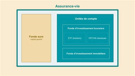 Fonctionnement De L Assurance Vie Finance H Ros