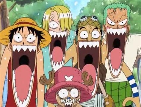 Whatxd One Piece Zoro Sanji Usopp Chopper Luffy Funny Faces One