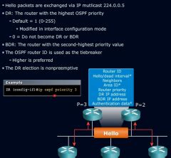 3 25 Configure And Verify OSPF Neighbor Relationship Flashcards Cram Com