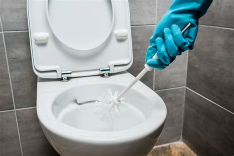 Black Mold In Toilet Bowl And Tank Causes And How To Remove It Better Home Pursuits