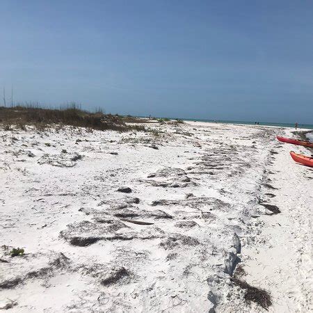 Caladesi Island State Park Dunedin 2020 All You Need To Know BEFORE
