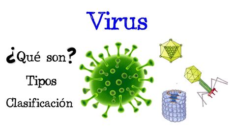 🦠 ¿qué Son Los Virus 🦠 Tipos Y Clasificación 🦠 Fácil Y Rápido