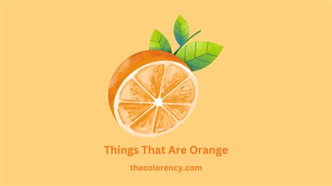 Things That Are Orange A Comprehensive Guide The Color Ency