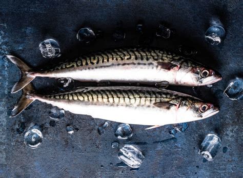 Fresh Mackerel Whole Fresh Fish Online Wright Brothers Home Delivery
