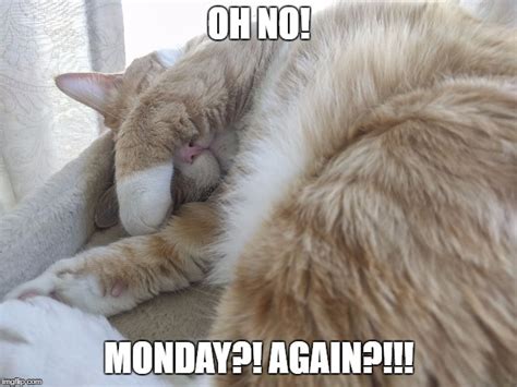 Oh No Monday Again Imgflip