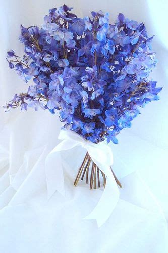 Bouquet Blue Delphinium Delphinium Wedding Bouquet Blue Wedding