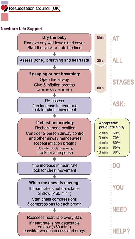 Part 13 Neonatal Resuscitation Guidelines Circulation