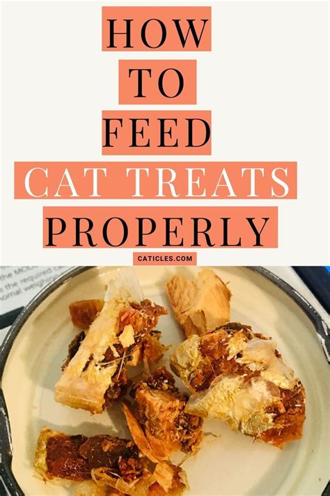 If you have a senior cat, liquid treats are the best option as they don't require crunching and chewing in order to be consumed. What is in Cat Treats That Cats Love? Are They Bad ...